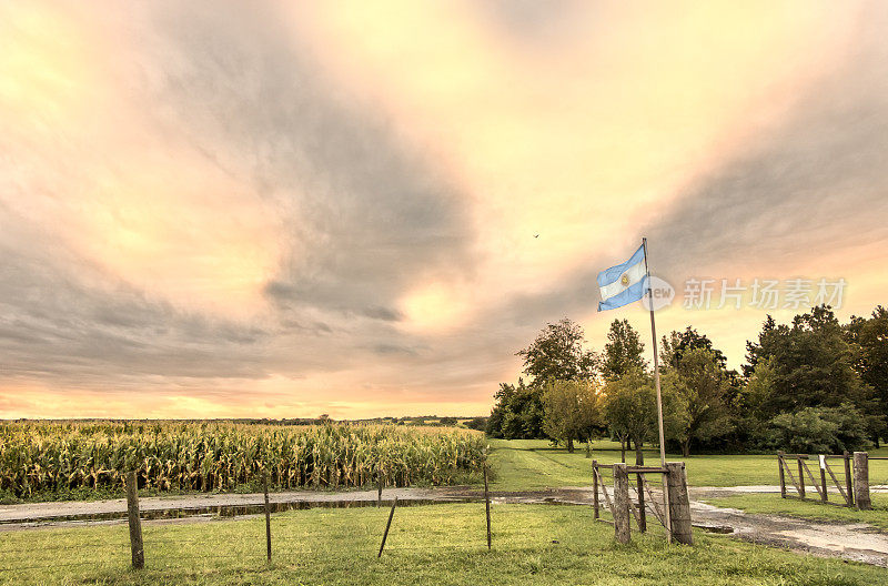 阿根廷国旗在潮湿的pampa种植玉米，Córdoba，阿根廷。