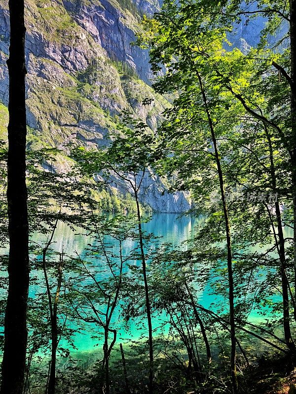 巴伐利亚阿尔卑斯山的美妙景色。德国巴伐利亚州贝希特斯加德纳国家公园