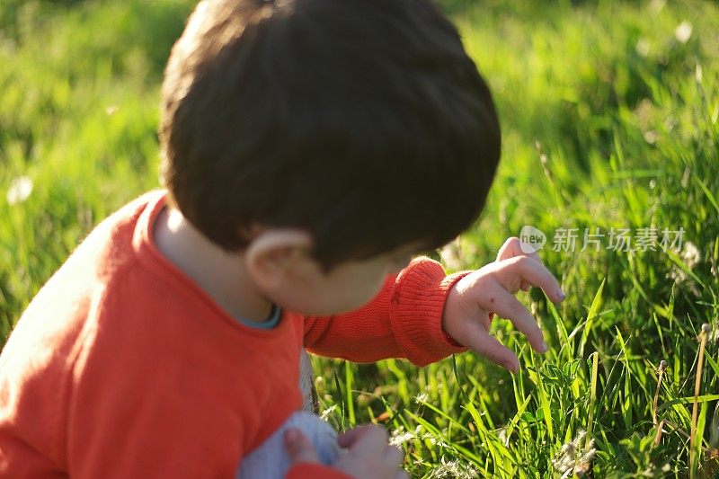 在温暖的日子里，可爱的小男孩喜欢在家花园里开满白花的树