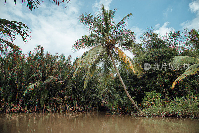 越南的湄公河三角洲