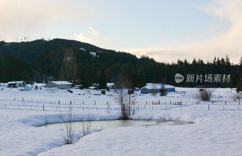 牧场上的池塘覆盖着冬天的雪