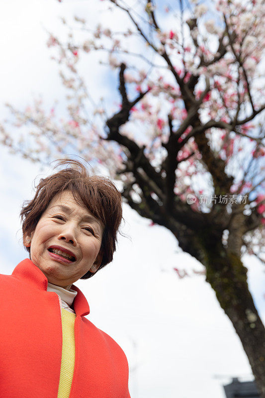 日本女子赏花