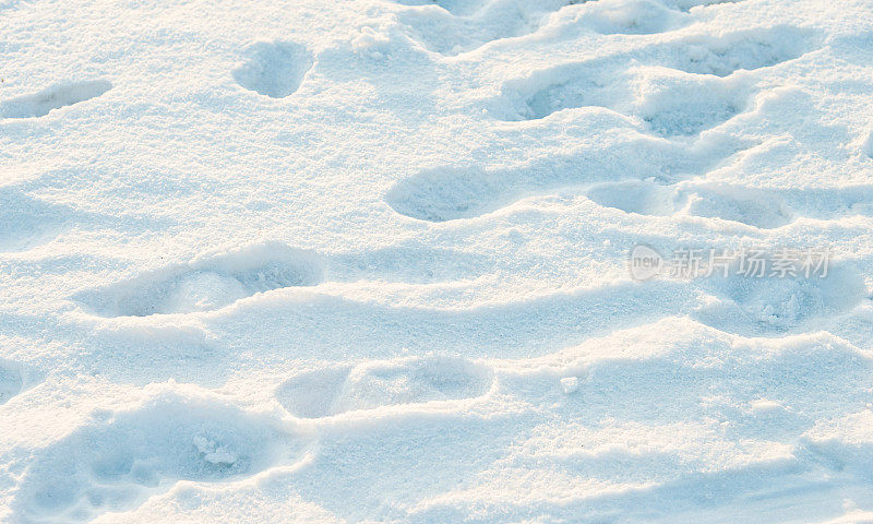 雪地里的脚印