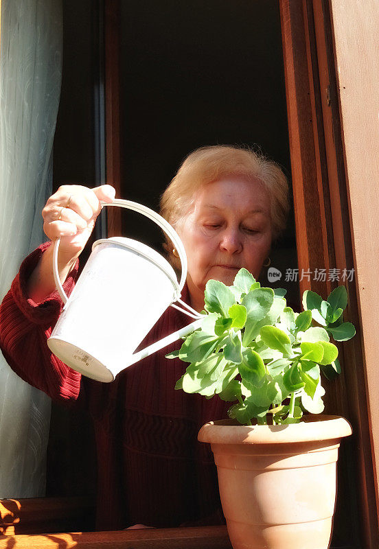 照顾她的花的资深女性