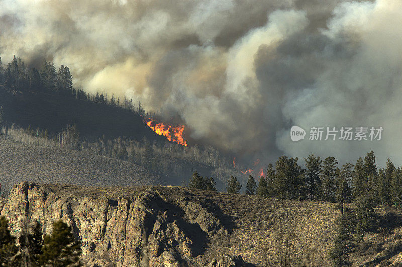 大火吞噬了东部的阿拉帕霍国家森林
