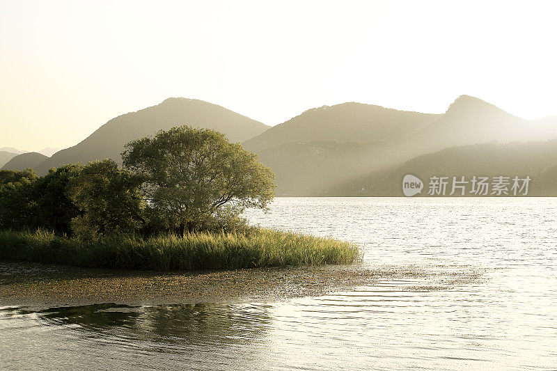 湖边的风景