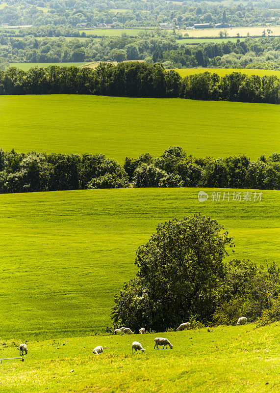 伯顿达塞特山俯瞰英国风景，英国中部的沃里克郡