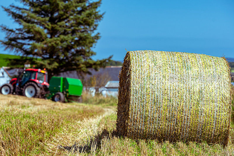 苏格兰西南部邓弗里斯和加洛韦的一个苏格兰农场上，捆成捆的稻草。