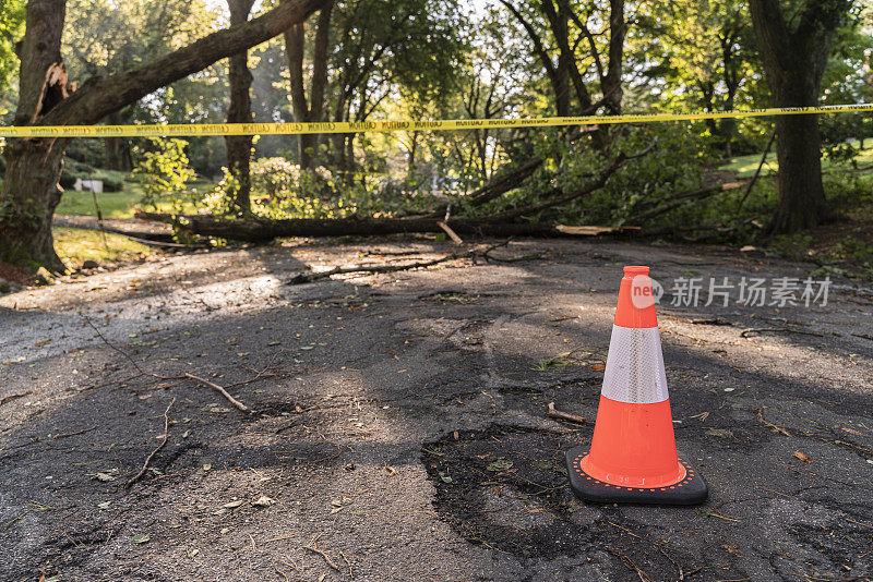 警察设置的路障标志着这条路在郊区因为危险的大风而被封闭。一场风暴过后，一棵倒下的树挡住了新泽西州一个小镇的街道。