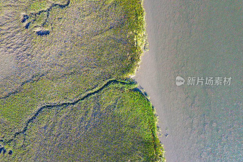 湿地鸟瞰图