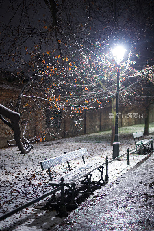 长凳，雪，冬天，克拉科夫中心的公园