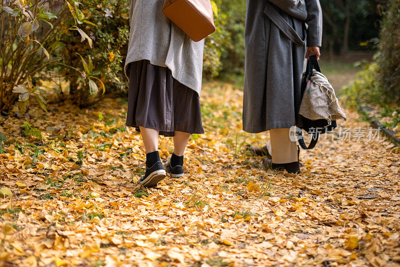 日本女性朋友走在掉落的银杏叶地毯上