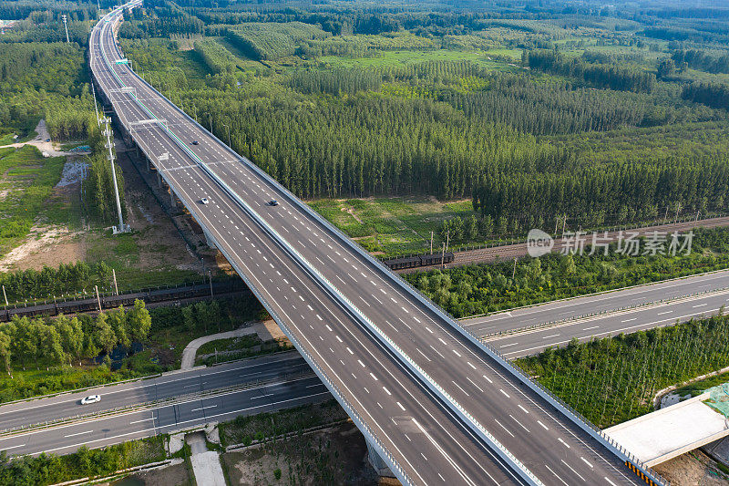 空中高速公路、森林