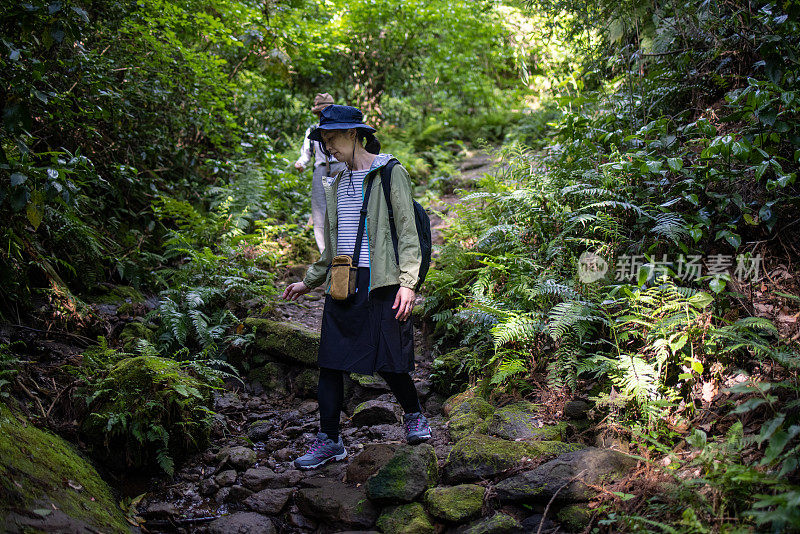 日本女性朋友在森林里徒步旅行