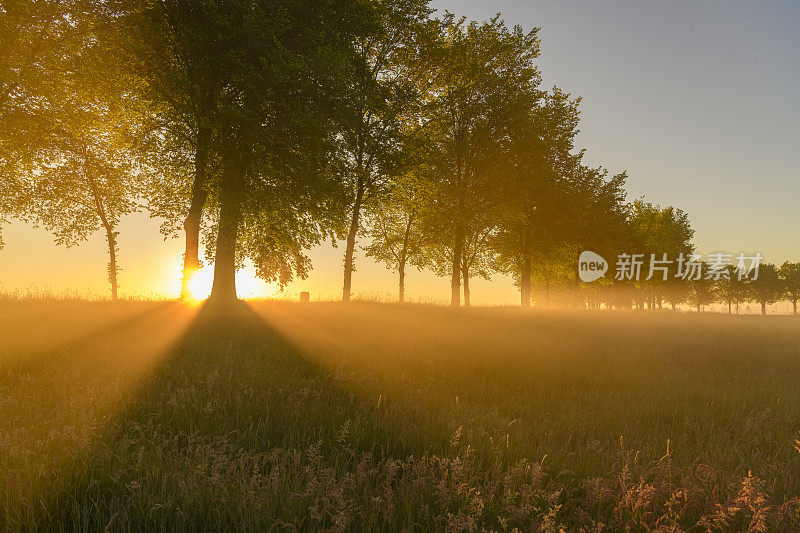 美丽的春天清晨，在坎彭附近的兹瓦滕迪克日出