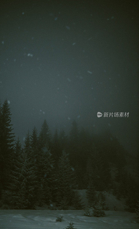 夜晚的暴风雪