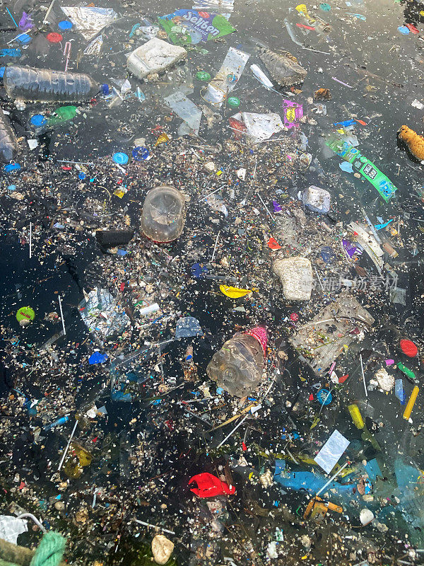 垃圾和垃圾覆盖了海洋表面，对海洋生物造成污染