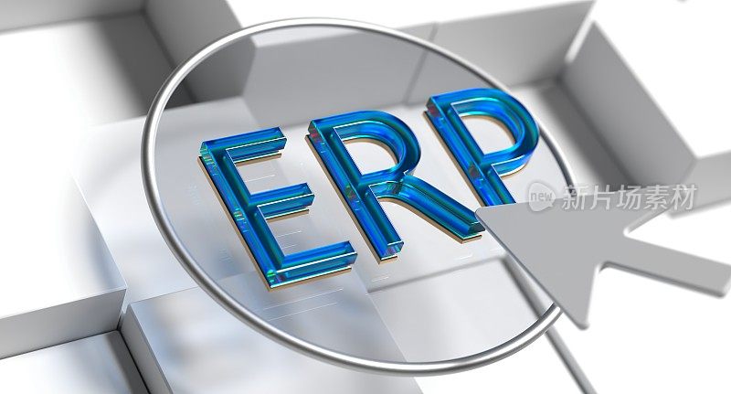 企业资源规划(ERP)软件即服务