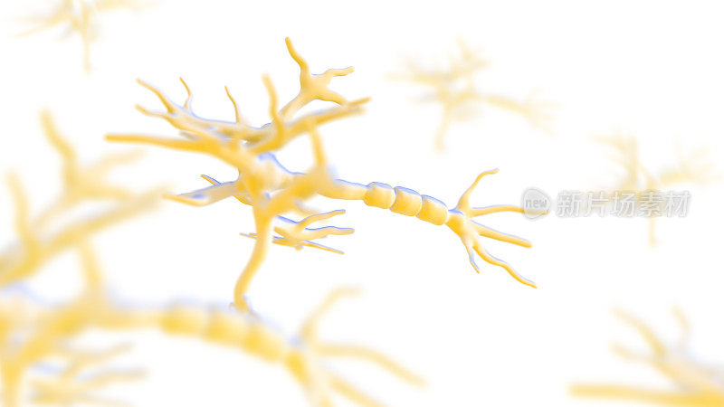 神经元网络