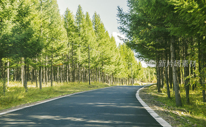 前进的道路