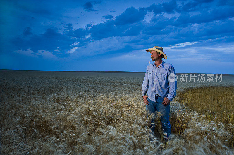 环境肖像美国小麦农民在田野与戏剧性的天空
