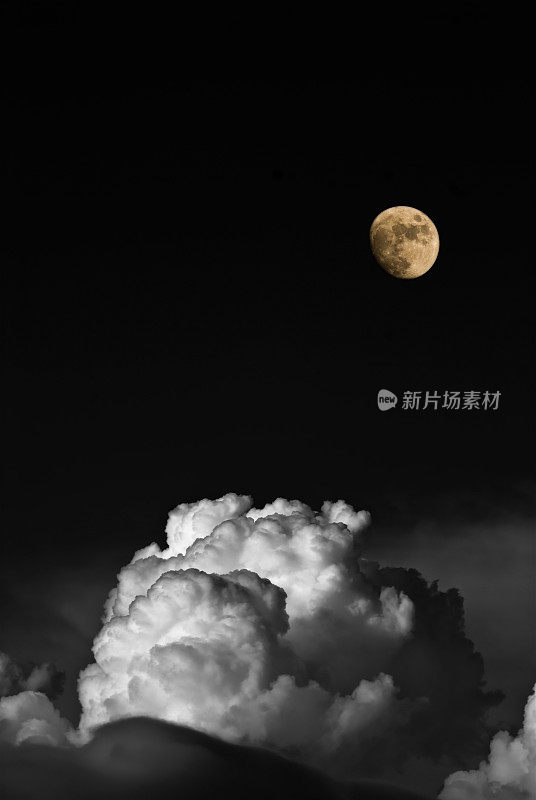 满月的万圣节之夜