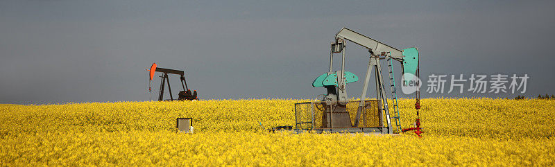 两个抽油机在Canola