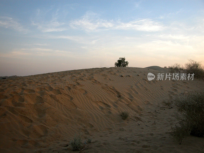 沙漠中被深夜灯光照亮的沙丘