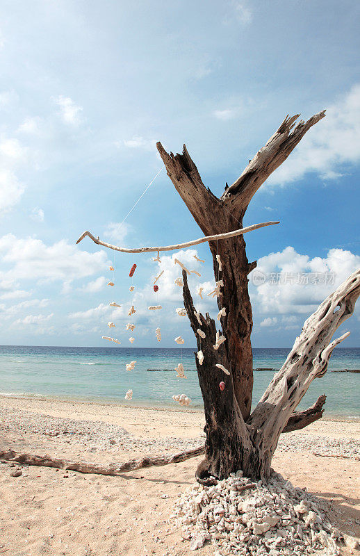 吉利・岛,lombok