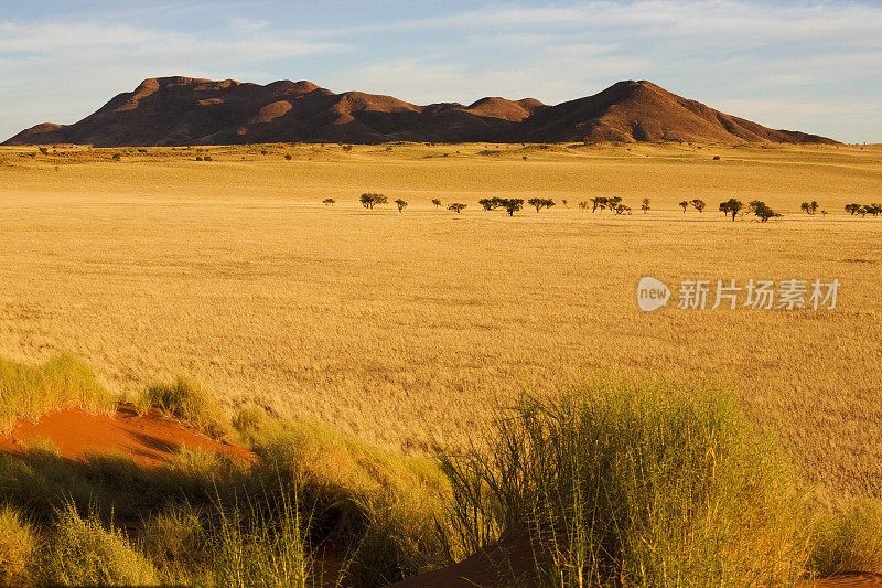 纳米比亚-诺克鲁夫特公园的风景