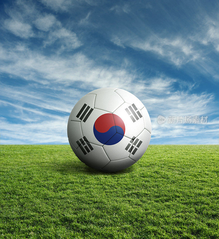 带有韩国国旗的足球