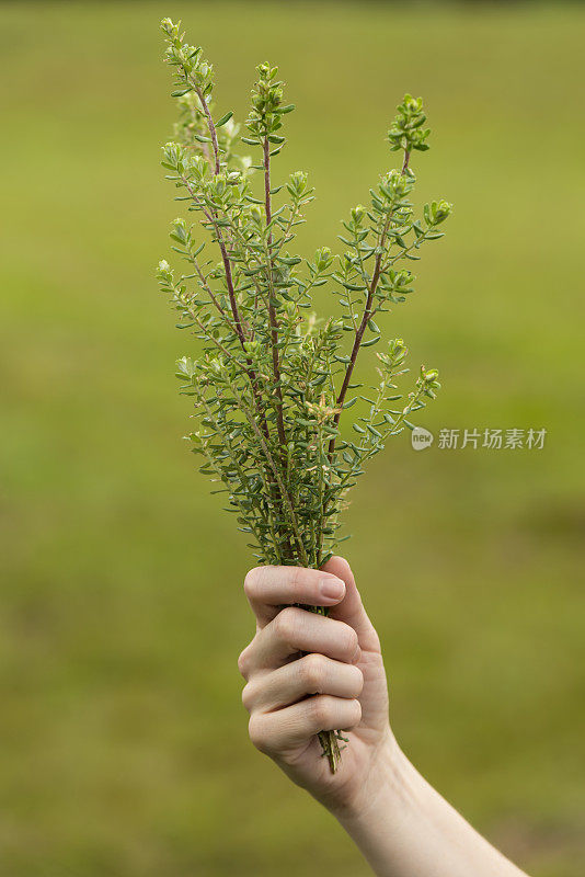 花束