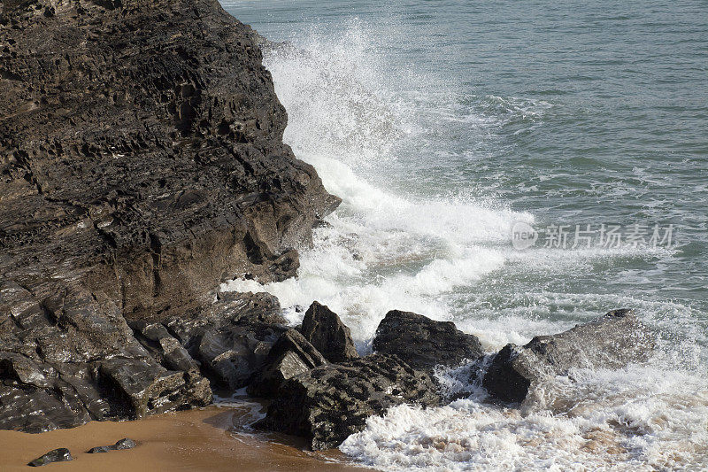 海羽轴。