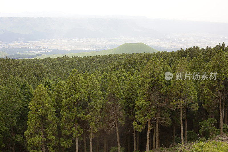 火山，麻生区，日本熊本，春天