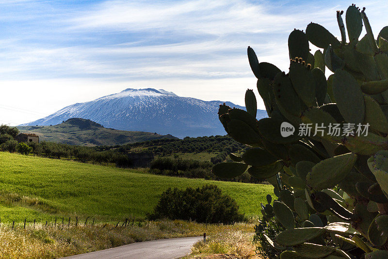 春天的埃特纳火山，仙人掌在前景，西西里岛