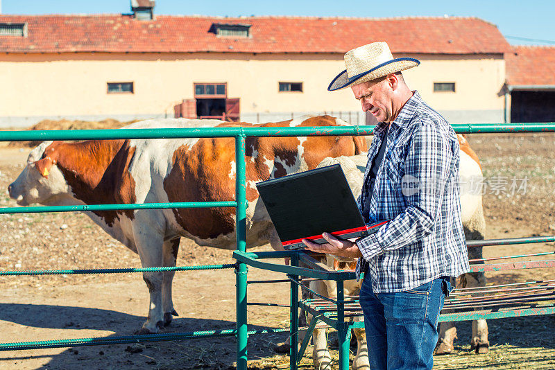 农民使用笔记本电脑