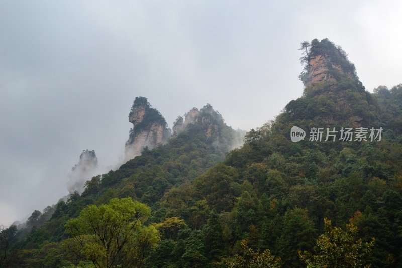 雨中的奇峰