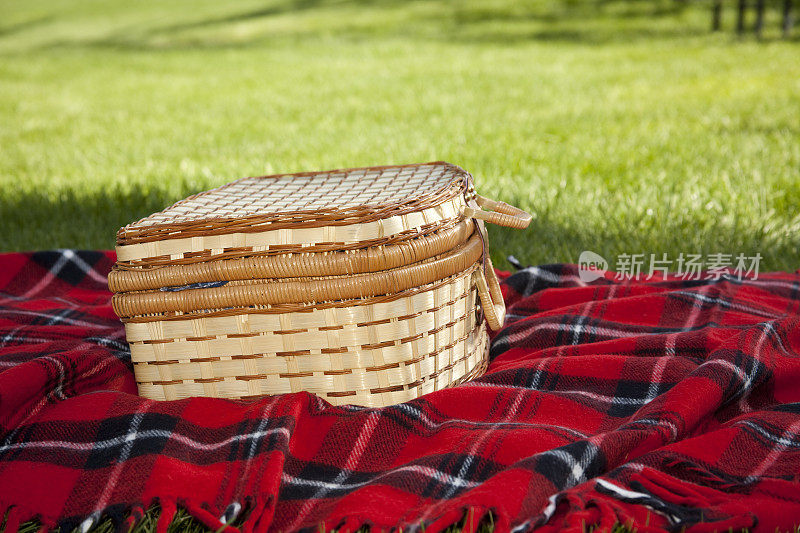 公园里红色格子毯子上的野餐篮