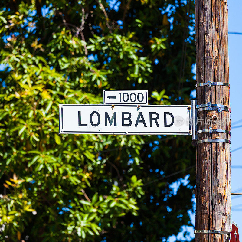 旧金山的朗伯德街标志