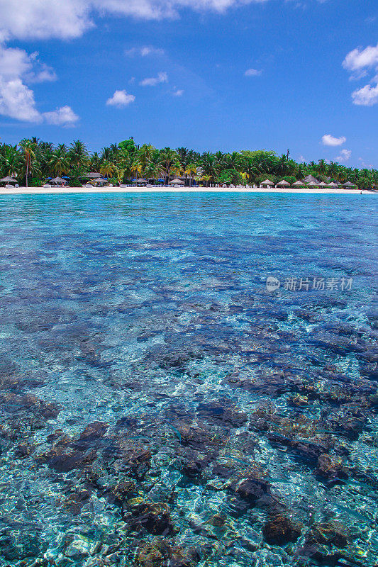 马尔代夫的热带岛屿