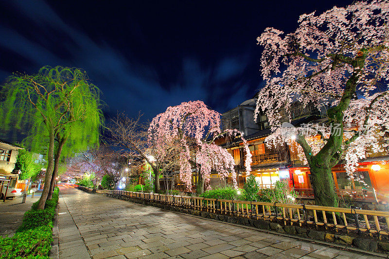 京都春光夜景