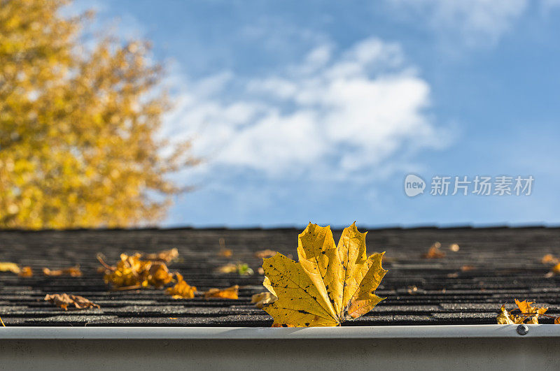 落叶落在住宅的屋顶和排水沟上