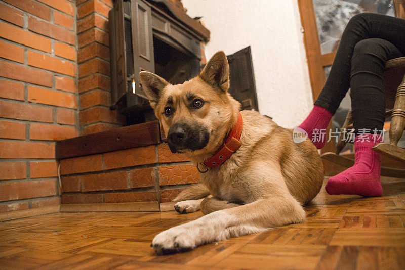 狗躺在女人和壁炉旁边的地板上