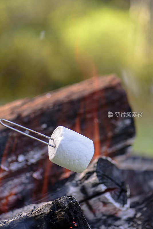 烹饪Marshmellow