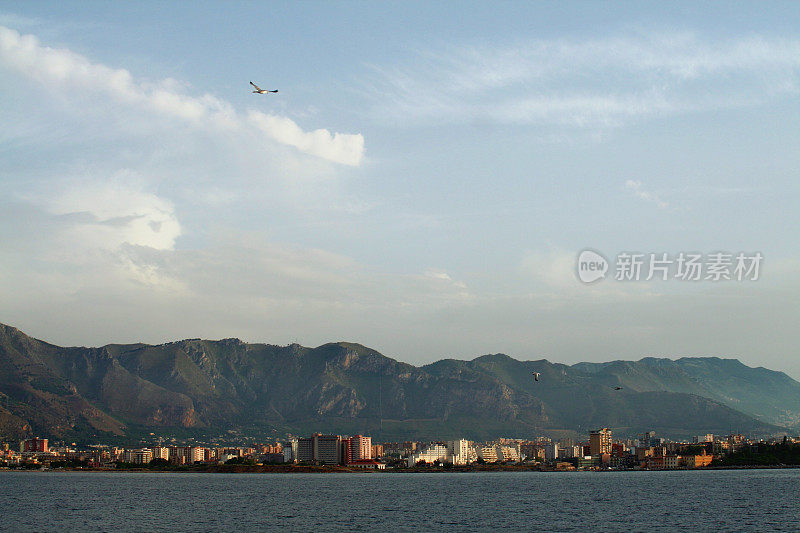 巴勒莫市景