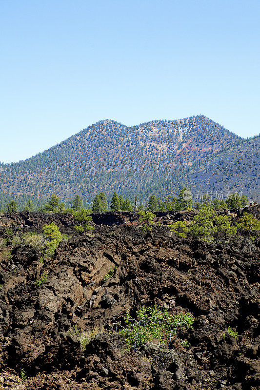 鲣熔岩流-日落火山口火山国家纪念碑