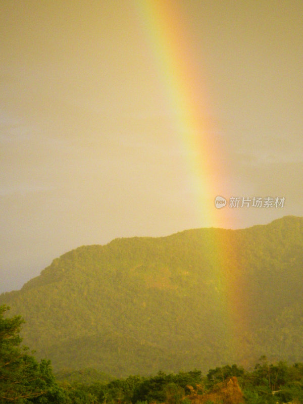 垂直特写双彩虹和热带雨林山脉拉塞巴洪都拉斯