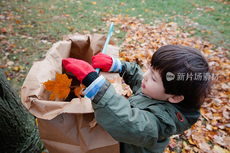 清理树叶