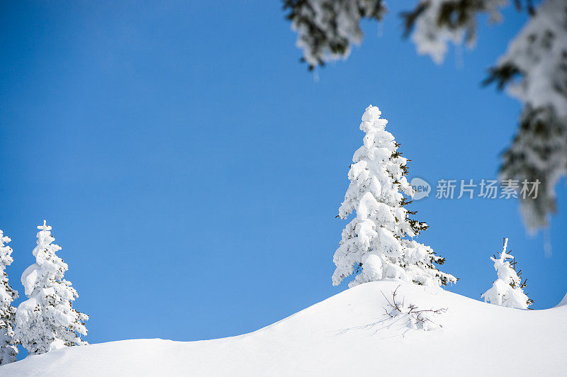 山上的冬日