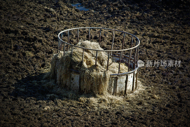 冬季饲料槽在泥泞的田地与青贮干草